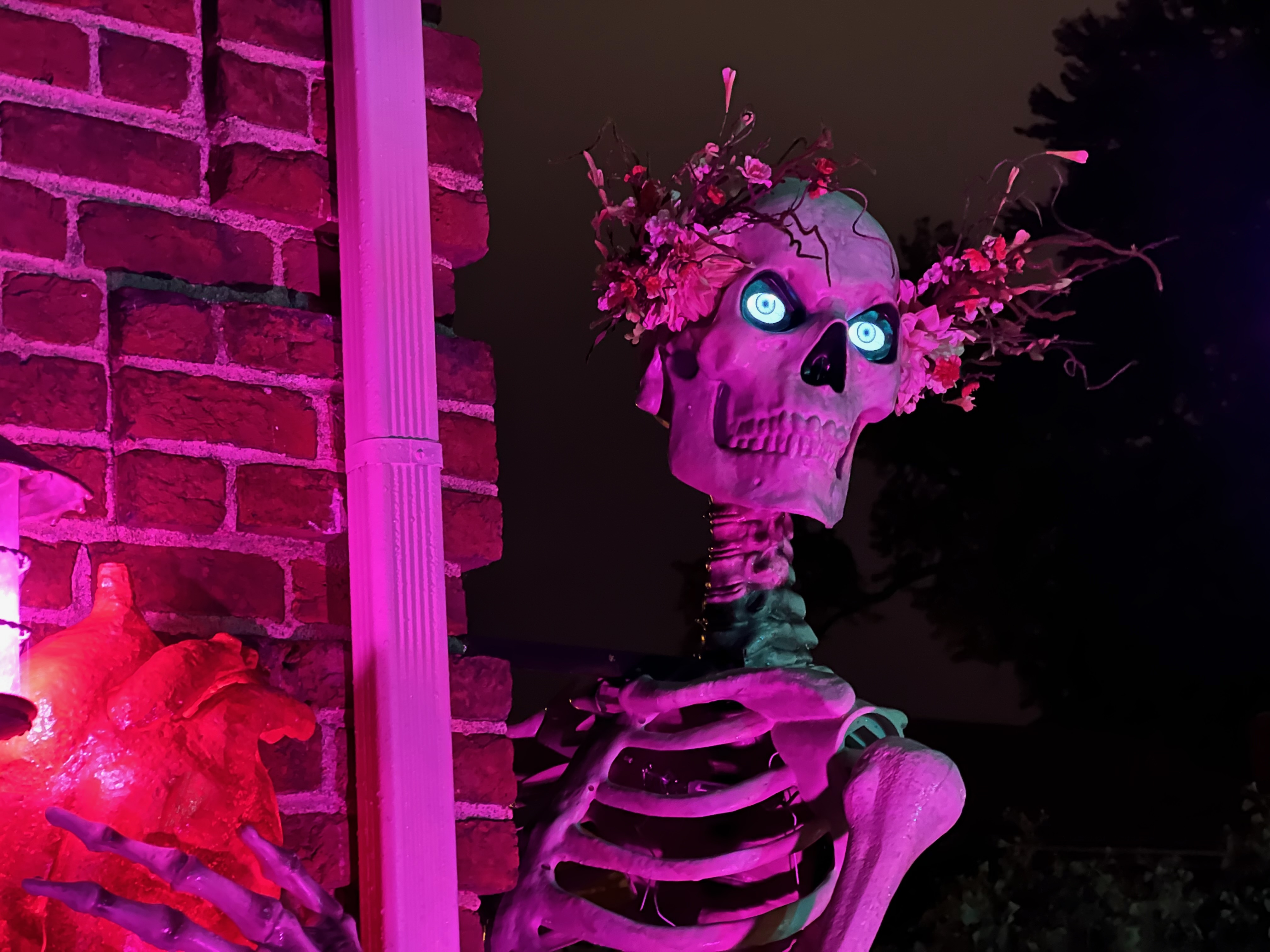 SkeleRVA — Richmond's 12-foot skeleton